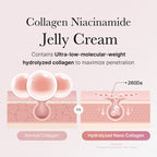 CollaGlow Jelly Cream